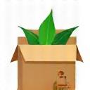 Icon of a recyclable box with a green leaf on it.